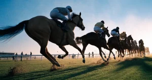 Apostas em corridas de cavalos: regras, cotas e operadores
